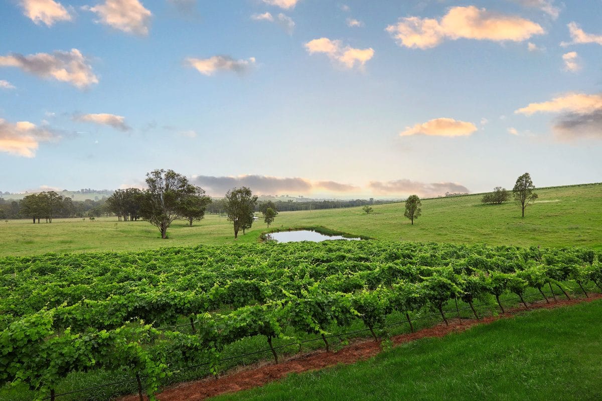 Buildingwise-Construction-Newcastle-Broke Rd-Pokolbin-Commercial-17